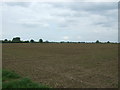 Field off Wymondham Road, Deopham in NR18 9TW