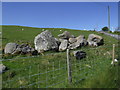 Boulders, Bryn Ffynnon farm in LL21 0RL