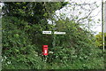 Elizabeth II postbox on Hall Moor Road, Hingham in NR9 4LB