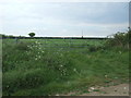 Field entrance off Morley Lane in NR18 9BP