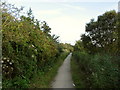 Footpath between Radipole Lake and the A354 in DT4 7RA
