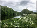 River Trent, Meadowside in DE15 0UD