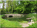 John's Pond on the River Frome, Dorchester in DT2 7SE