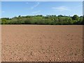 Arable field near Blake's Bridge in SY8 4BG