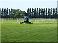 Mowing, Aintree Racecourse in L10 2LF