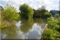 Millpond at Ford End Watermill in LU7 9EX
