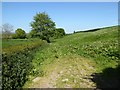 Farmland beside Haynall Lane in SY8 4BG