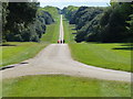 Hikers on The Avenue at Holkham Hall in NR23 1RT