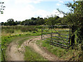Footpath and track to Cubitt's Carr in Ingworth