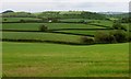 Farmland near Well Farm in TQ13 7ND