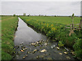 South Drain, Hulk Moor in BA16 9PZ