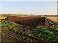 Peat digging by Sharpham Lane in BA16 9SF