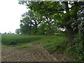 Footpath from Mountnessing Churchyard in CM4 9NY