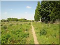 Footpath with the fence of Barlby High School to the right in YO8 5JP