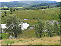 Small pond below Tom an Fhacail in FK17 8HD