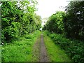 Track beside Gravelpit Plantation in DE65 6GW