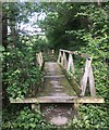 Footbridge across the footpath in RH14 9DZ