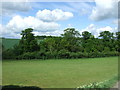 Grazing and woodland near Saffron Walden in CB11 4DN