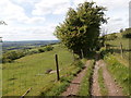 Bridleway leading towards North Stoke in BA1 9AR