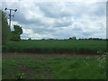 Crop field off Lower Stoke Road in Stoke-by-Clare
