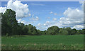 Farmland and woodland near the River Cam, Duxford in Duxford