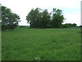 Grazing off Bury Road in IP29 4SA