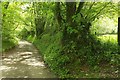 Lane along the Avon valley in TQ10 9NL