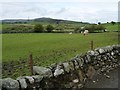 Horses at Dafarn Faig in LL51 9LZ
