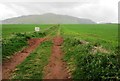 Path to Bunnet Stane, Lomond Hills in KY14 7TD