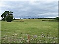 Farmland near Mathern in NP16 6YA