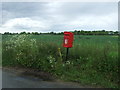 Elizabeth II postbox on Chapel Road in IP30 0LN