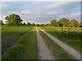 Estate track south of Teddesley Home Farm in ST19 5RJ