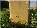 OS benchmark - Teddesley Park, gatepost near Keeper's Pools in ST19 5RJ
