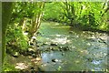 River Erme upstream from Keaton in PL21 0LB