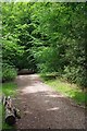 Path Through Knighton Wood in IG8 0RY