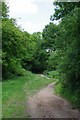 Path by Forest Hatch in IG8 0RS