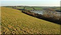 Hillside above Little Petherick Creek in PL27 7QH