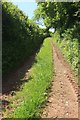Green lane from Stoke Road in TQ4 7HD