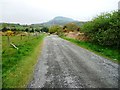 Public footpath to Tyddyn Adi in LL49 9YS