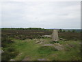 Trig point on Stanton Moor in Birchover