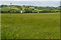 Field above Tunnel Head in SP8 5ED