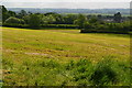 Field below Hartmoor Hill Farm in SP8 5EB