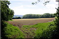 Field at Kilima Farm in TA20 4JP