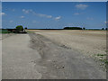 Field by Old Methwold Road in IP26 4EZ