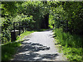 A small bridge on the Mawddach Trail in LL39 1BQ