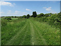 Bridleway from Feltwell Road in IP26 4QP