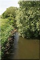 River Stour near Child Okeford in DT11 8DZ