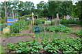 Allotments at Cannington in TA5 2HZ