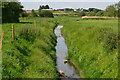 Drainage ditch near Cannington Golf Course in TA5 2SU
