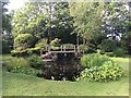 Ornamental pond and footbridge in SL4 4SJ